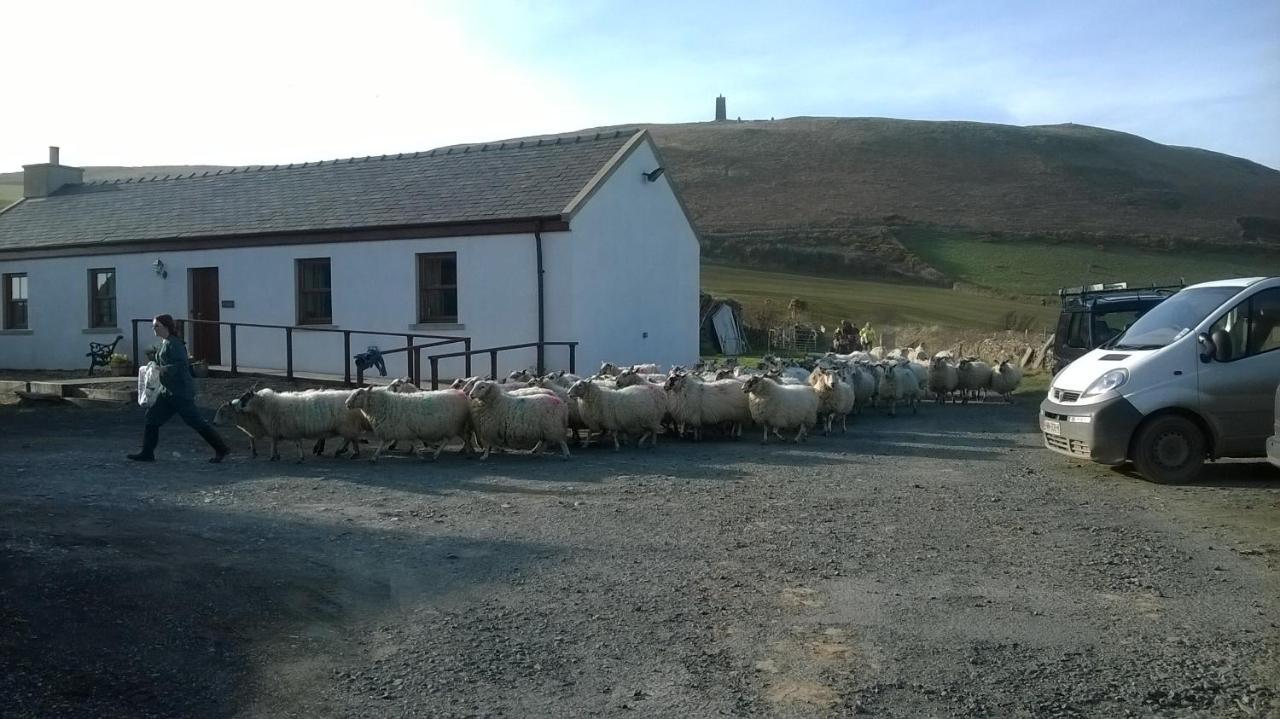 Knockaloe Beg Farm Bed & Breakfast Patrick Exterior photo